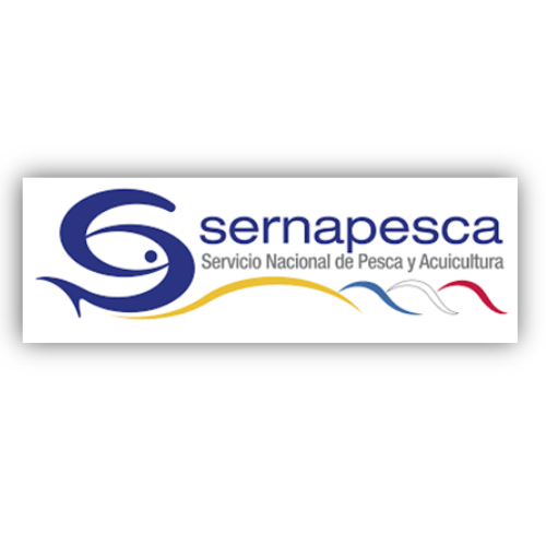 Cliente Escuela BeCoach 4